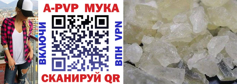 Альфа ПВП СК  Кузнецк 