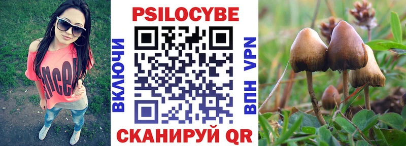 Галлюциногенные грибы ЛСД  нарко площадка телеграм  Кузнецк 